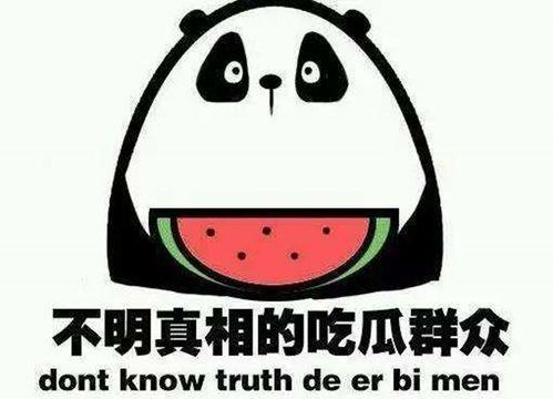 娱乐吃瓜名字叫什么来着